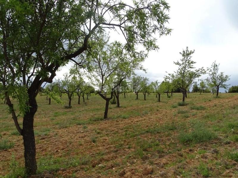 Foto 320e3076-c1c6-4afa-95ce-5bb92c3816ba. Mas dans Cretas