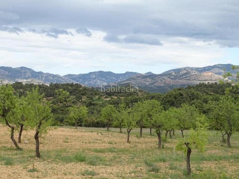 Foto 47cc5b74-a075-4c5b-9644-c1754dfc7fbf. Mas dans Cretas