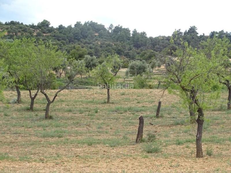 Foto 533ebcf5-adb3-43fe-a0cd-32e56eef6e28. Mas dans Cretas