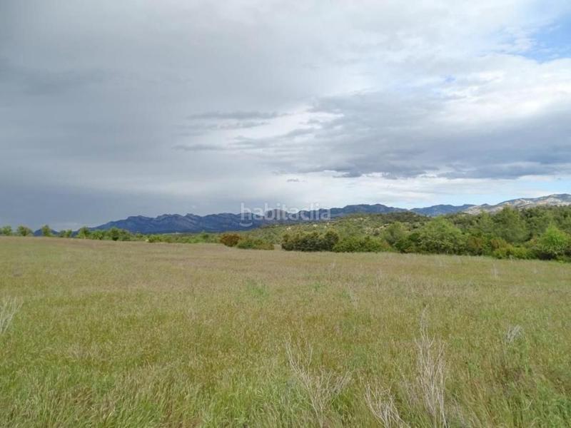 Foto 55456939-bddf-47b0-9ddd-8e51f13cb56f. Mas dans Cretas