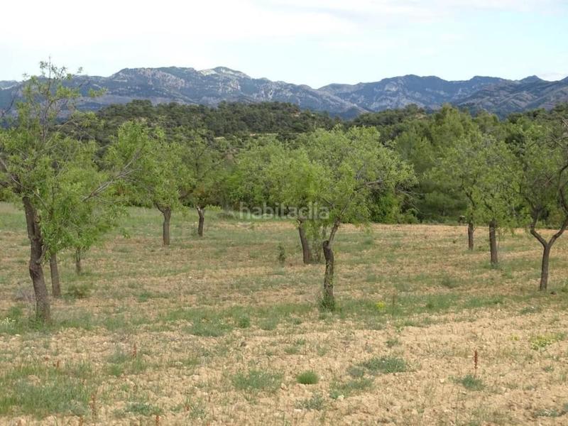 Foto 5becf608-f24e-431e-9c6d-1af729658e54. Mas dans Cretas