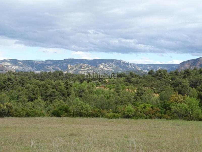 Foto 5dddc3c0-7f9e-4b67-8c12-0cb4c608d180. Mas dans Cretas