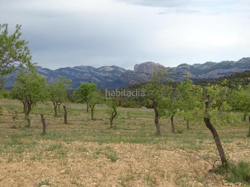 Foto 6974e880-61a4-4c11-9fd9-74b4eb6d233b. Mas dans Cretas