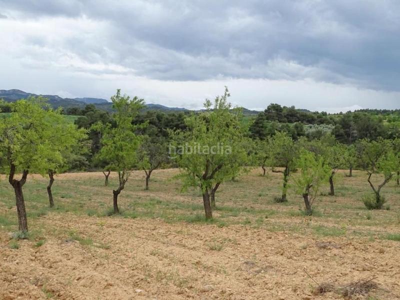 Foto 823fefb3-d7fe-47c9-b7ba-55d46e41236c. Mas dans Cretas