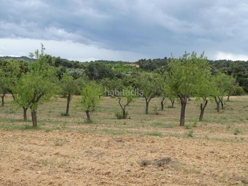 Foto 860e469f-8e68-42ad-90b7-b69b86536c37. Mas dans Cretas