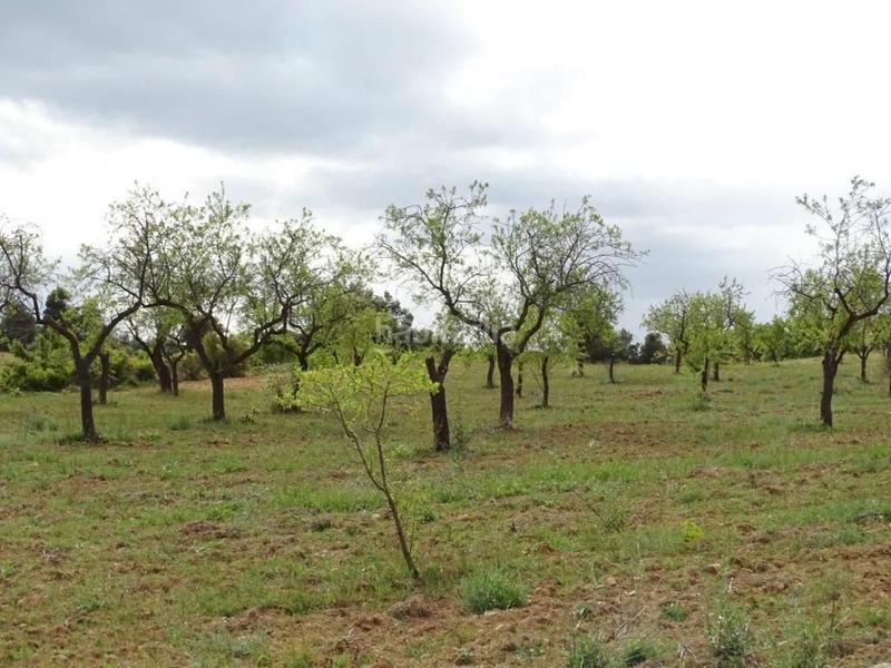 Foto 8d0e302f-2f84-43af-8949-e22c7d165b27. Mas dans Cretas