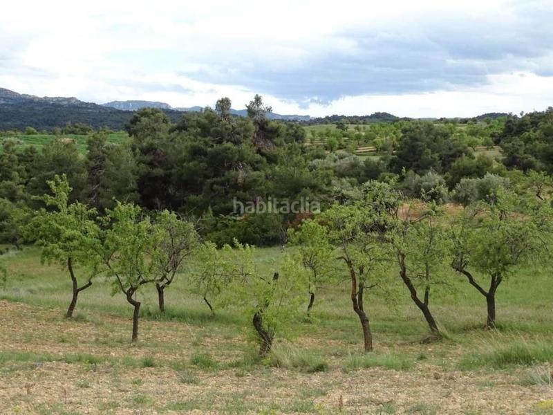 Foto 8eedc5b9-45c4-4ff4-9d80-e81584c08583. Mas dans Cretas