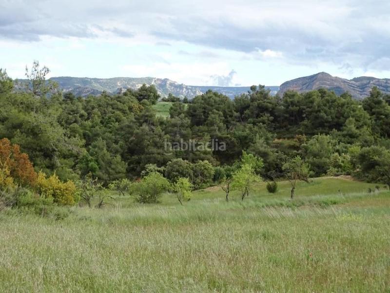 Foto 9322e79d-5e7c-479a-ba26-21738e52ff7c. Mas dans Cretas