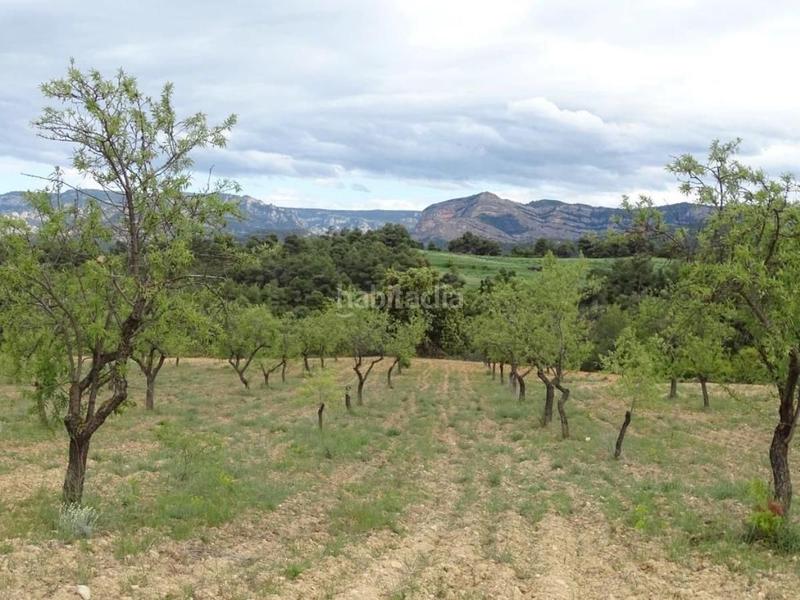 Foto dfdd9089-dd00-4bb0-8c66-6b86f55a78e4. Mas dans Cretas