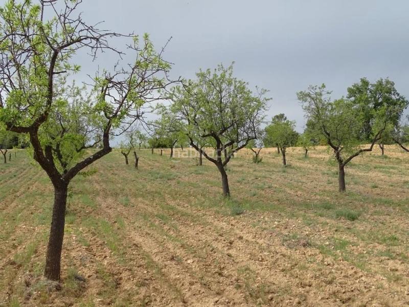 Foto e53dc2f8-a173-41d1-a191-a3ffd08e72b5. Mas dans Cretas