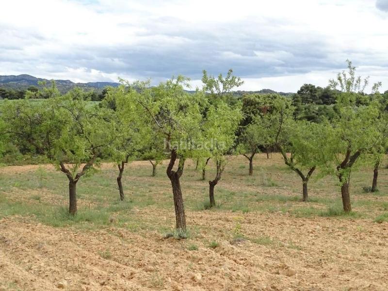 Foto e6582121-fe17-4691-ae7c-09b10d6dc4e3. Mas dans Cretas