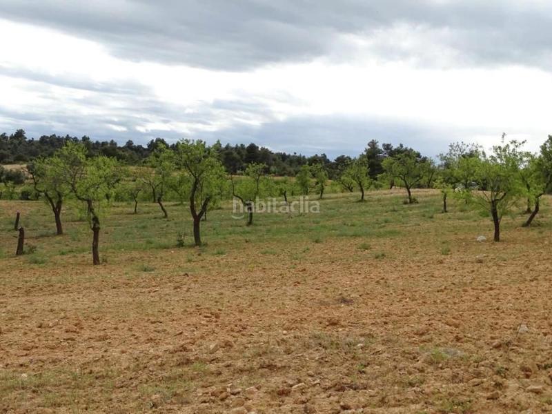 Foto e6a8a722-5b44-4eec-b01f-fc954db319a0. Mas dans Cretas