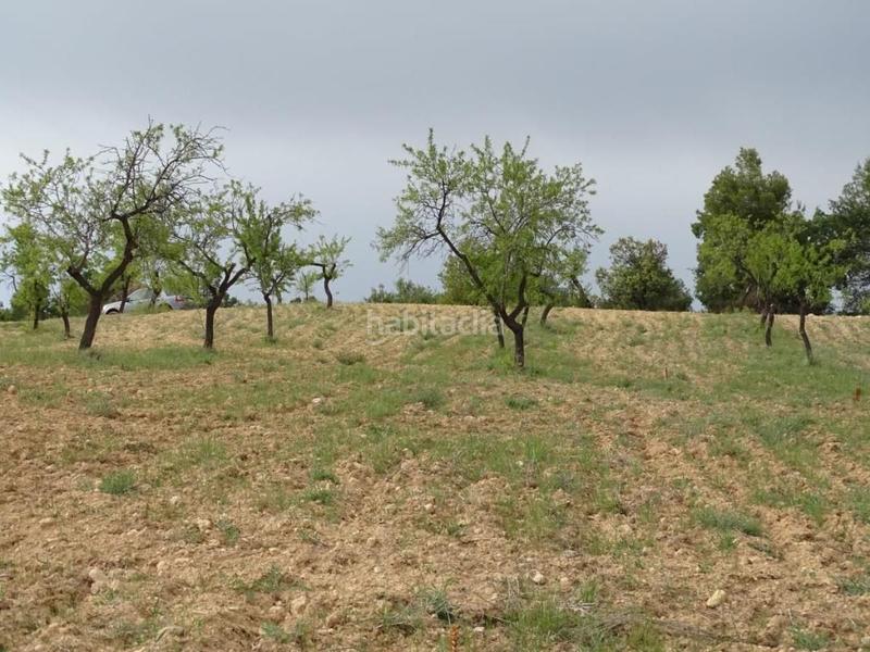 Foto ee1636b0-ca87-4b12-88a5-edc34a3aea47. Mas dans Cretas