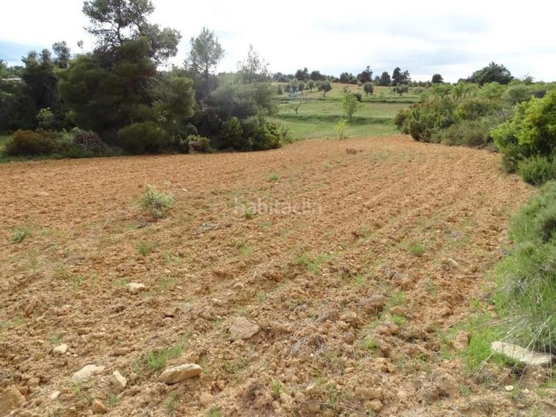 Foto f388674e-894c-471e-b509-e5dade076e4a. Mas dans Cretas