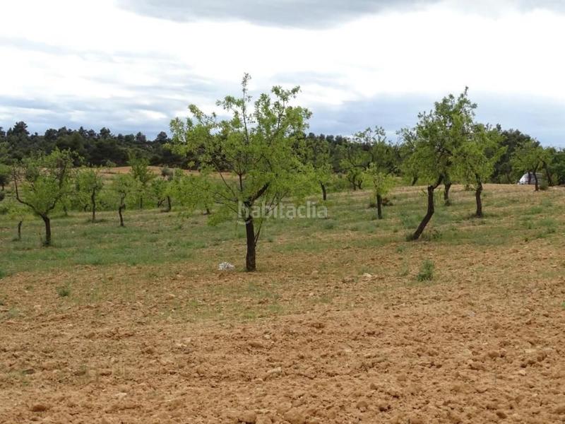 Foto fd06f5ac-40d1-41d5-a0bc-1ab6c8b09101. Mas dans Cretas