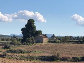 Masia a Torre del Compte. Torre del compte - finca rústica con masico