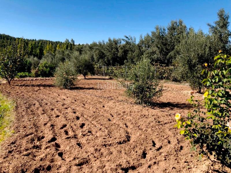 Foto 0649e6f5-9ba9-4b81-a538-5a1a98ce2ada. Masia a Torre del Compte