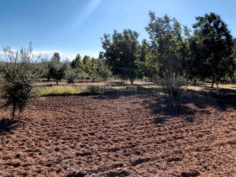 Foto 2e1135ba-7008-4e51-915e-16739287433e. Masia a Torre del Compte