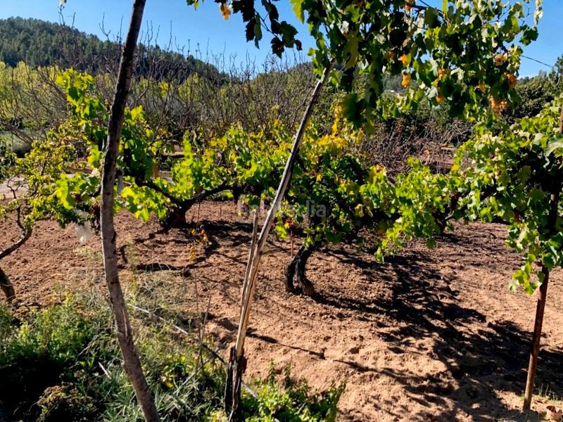 Foto 52f792d0-70eb-4795-a3c3-89d1e5f1e961. Masia a Torre del Compte