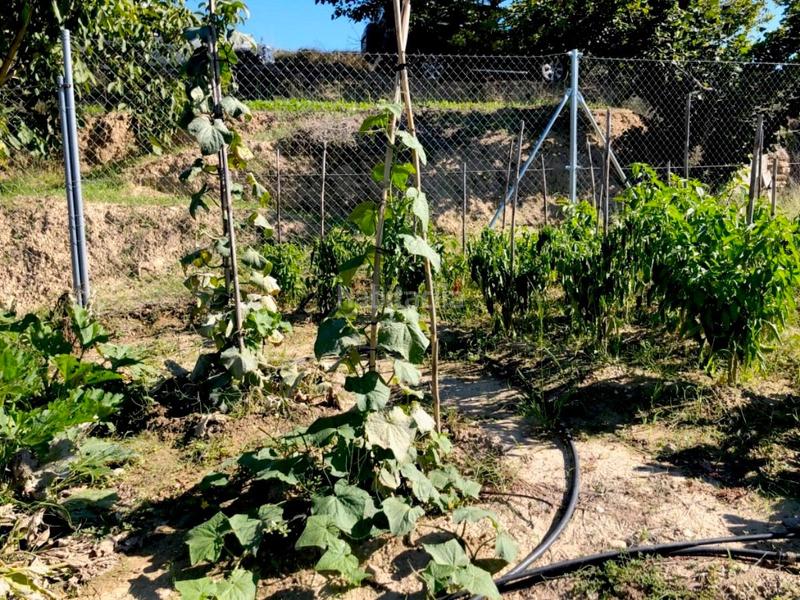 Foto 55923e57-68a5-4310-85cc-53153fd1f6a4. Masia a Torre del Compte