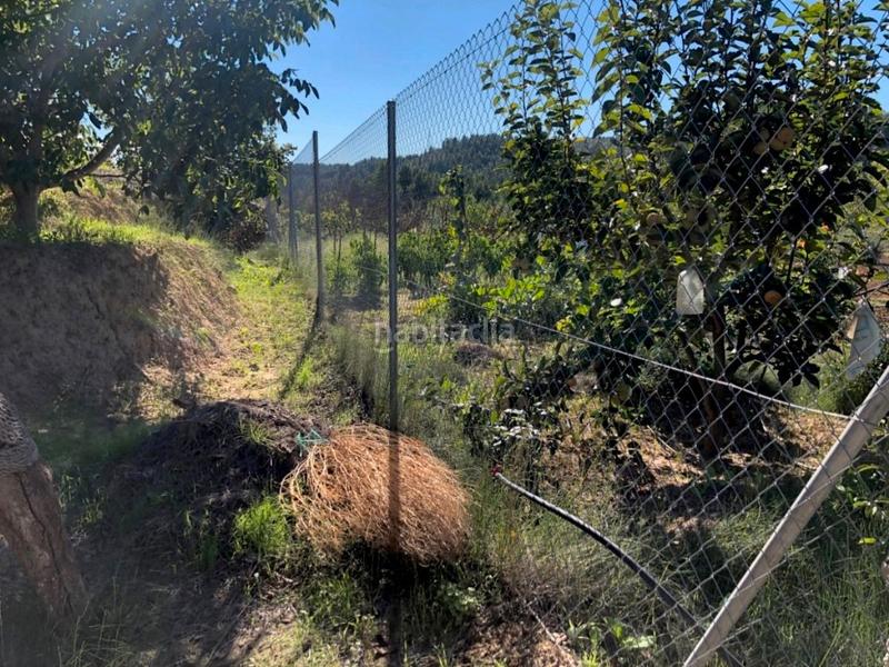 Foto 8a9bb26e-ba5f-44cd-b3ce-8e08f9c31d4c. Masia a Torre del Compte