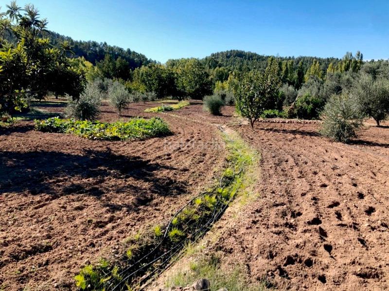 Foto 9b81fa1e-e0ca-4d36-8568-40c8290a4f9f. Masia a Torre del Compte