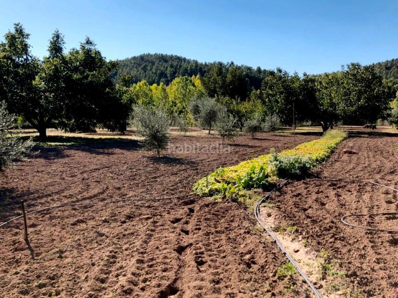 Foto ad9145e0-b88d-4983-a17f-4e90eddea900. Masia a Torre del Compte