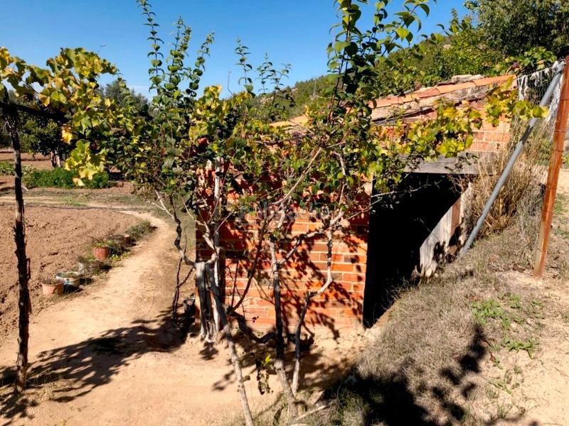 Foto c1f5a2a5-01b8-4199-bb78-68983b6fe9fe. Masia a Torre del Compte