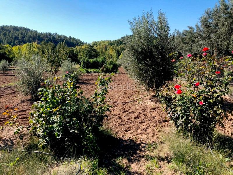 Foto c8c2e1fd-fae4-4263-a437-dfe5e647c079. Masia a Torre del Compte