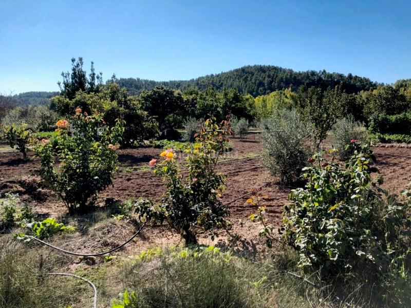 Foto e94ad69e-5c14-49ea-9a90-0275a16ed8ce. Masia a Torre del Compte