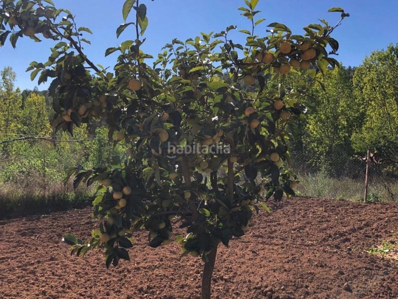 Foto eadf4a8b-d686-4332-9b2c-c3e53a1147b2. Masia a Torre del Compte