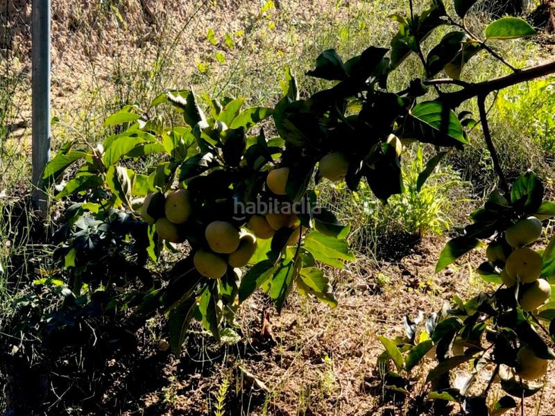 Foto f707c352-57dd-4ee9-aa6e-e0ece6e212b9. Masia a Torre del Compte