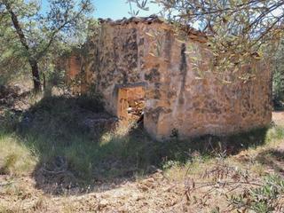 Propriété à Cretas. Cretas.- finca con cultivo de olivos y construcción