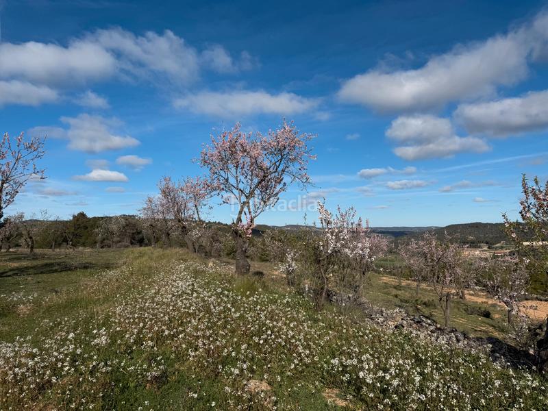 Foto b21955f0-2c8c-4d5e-afc7-f92fa1bee55b. Finca rústica .- finca de almendros con másico y almacén en Valderrobres