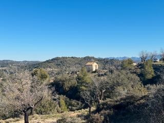 Finca rústica a Valderrobres. Valderrobres.- finca de almendros con másico y almacén