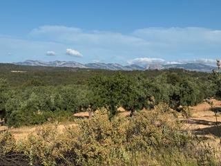 Finca rústica a Valderrobres. Cretas - finca rústica con vistas