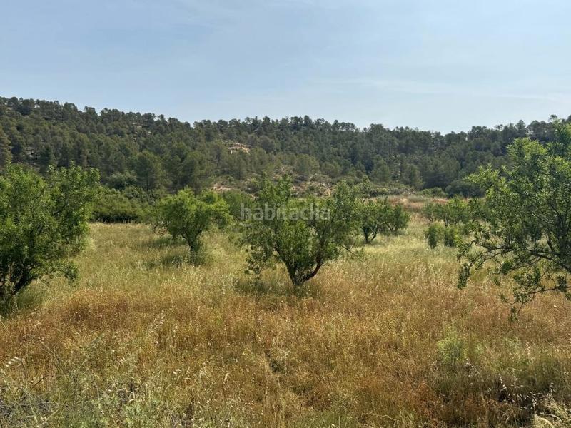 Foto d5120c92-5923-4c44-9c41-83d1ecd03498. Finca rústica a Mazaleón