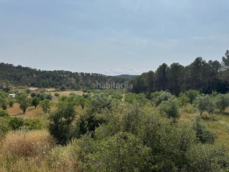 Foto e39dbcd6-ba52-4071-b303-8198ef890208. Finca rústica a Mazaleón
