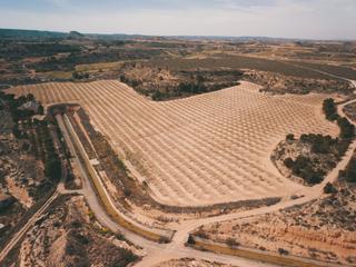 Rural plot in Caspe. Finca rústica con almendros