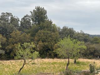 Propriété  Calle horta de sant joan. Finca rústica en cretas
