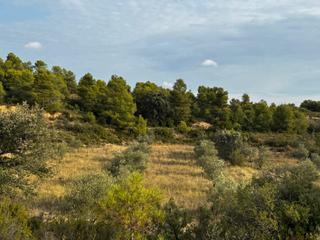 Landgut in Valderrobres. Cretas - finca rústica