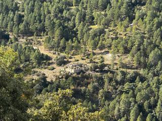 Fondo rustico in Valderrobres. Finca en los puertos de beeite