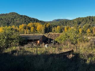 Rural plot  N/a. Finca de regadío