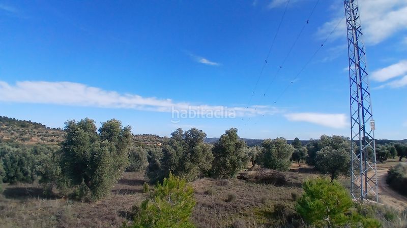 Foto 0b28e8ff-915b-43c4-9836-dcf415f7bd13. Finca rústica a n/a a Calaceite