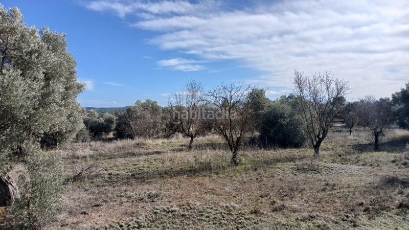 Foto 21431562-a956-4ca4-a83d-4aaf1498adba. Finca rústica a n/a a Calaceite