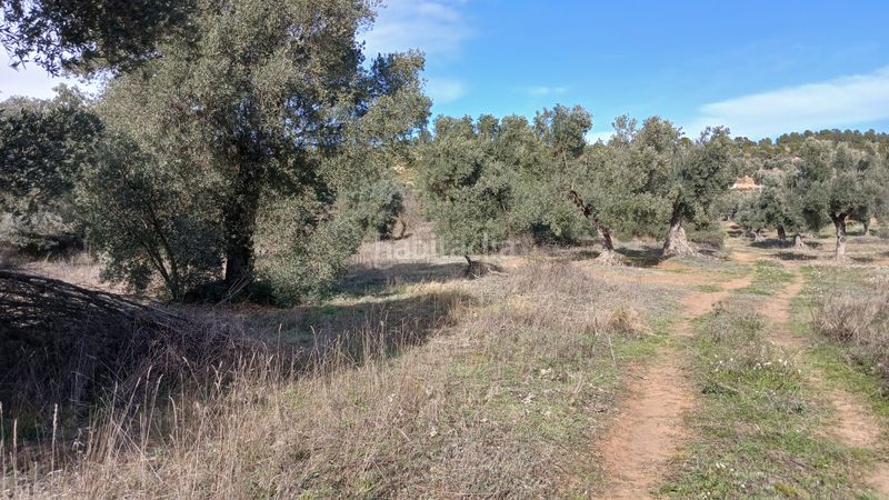 Foto 216e67b4-5ebf-4716-9fe5-f5bb73d32b29. Finca rústica a n/a a Calaceite