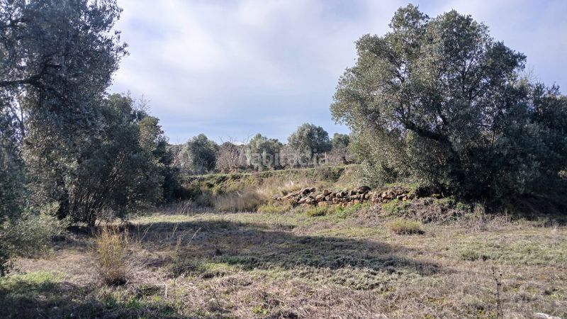 Foto 339b4eb7-7f19-4300-b2f7-dda3dbdd4b20. Finca rústica a n/a a Calaceite