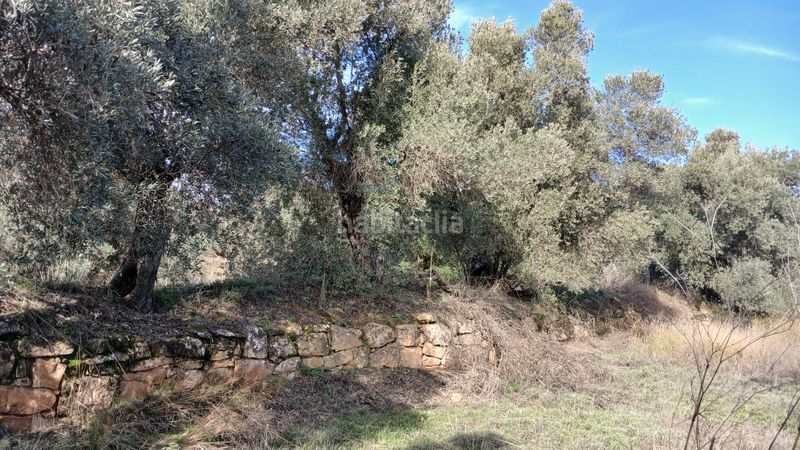 Foto 3f4e8e6c-4843-4cef-8bf0-c51ba50e9bbd. Finca rústica a n/a a Calaceite