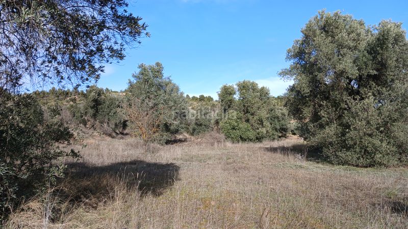 Foto 760f3d51-34e2-4aaa-a2e4-d524b1dcd328. Finca rústica a n/a a Calaceite