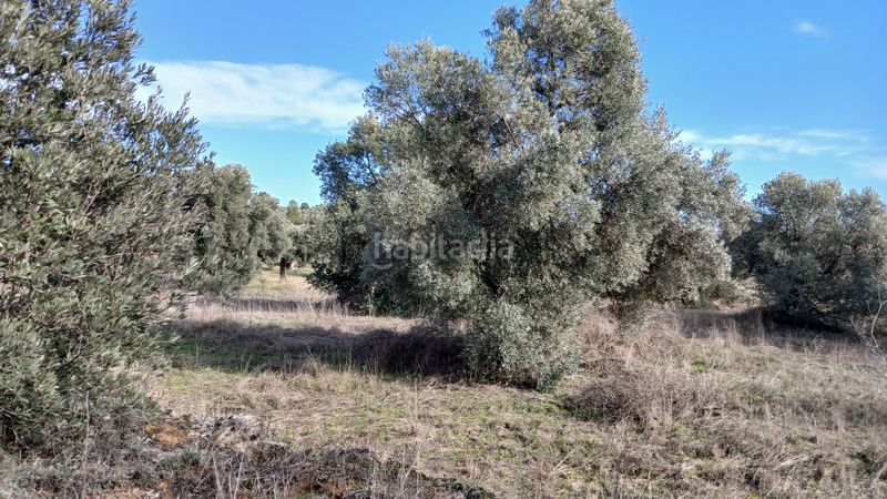 Foto 7f9df179-5419-44da-b139-de1d66fe21d0. Finca rústica a n/a a Calaceite